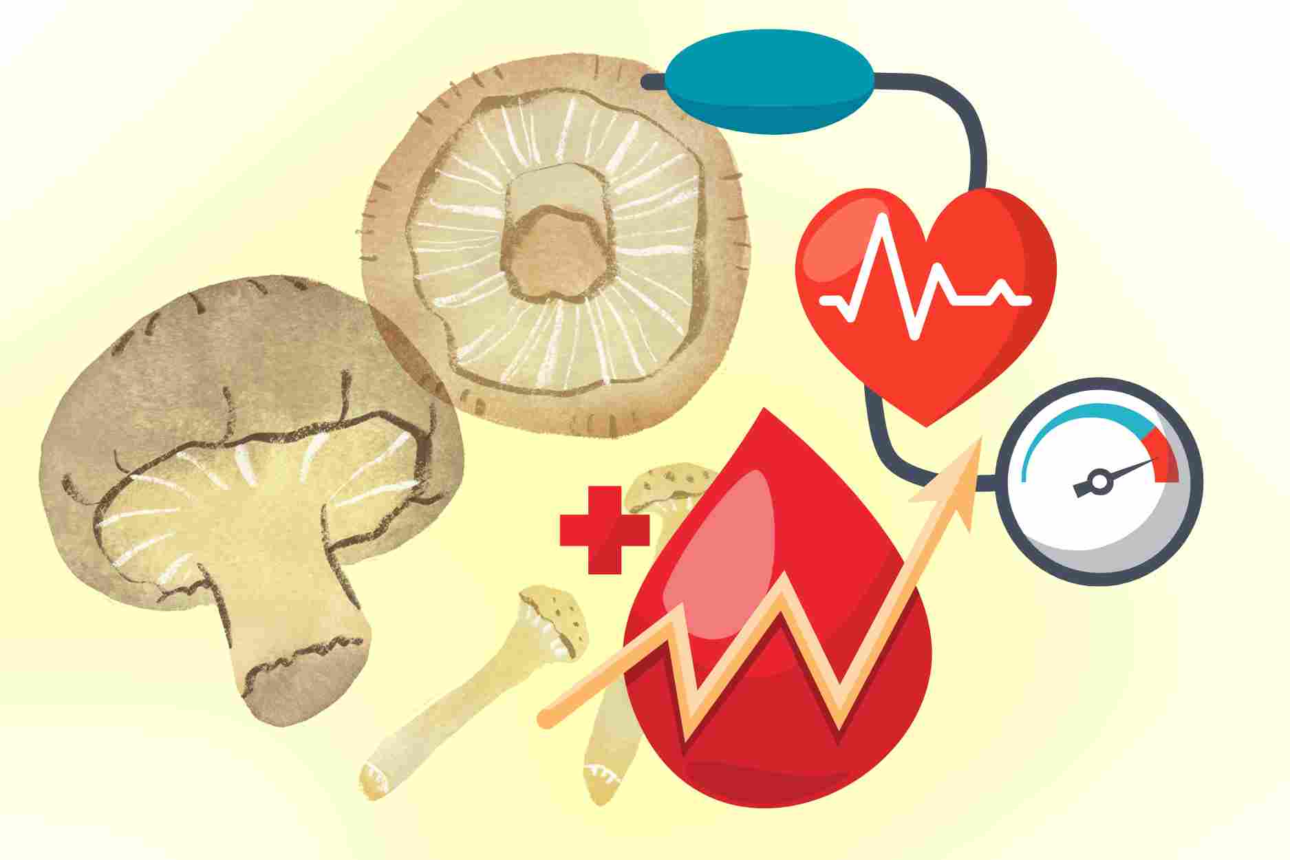 Mushrooms that help stabilize blood pressure, blood sugar and liver function