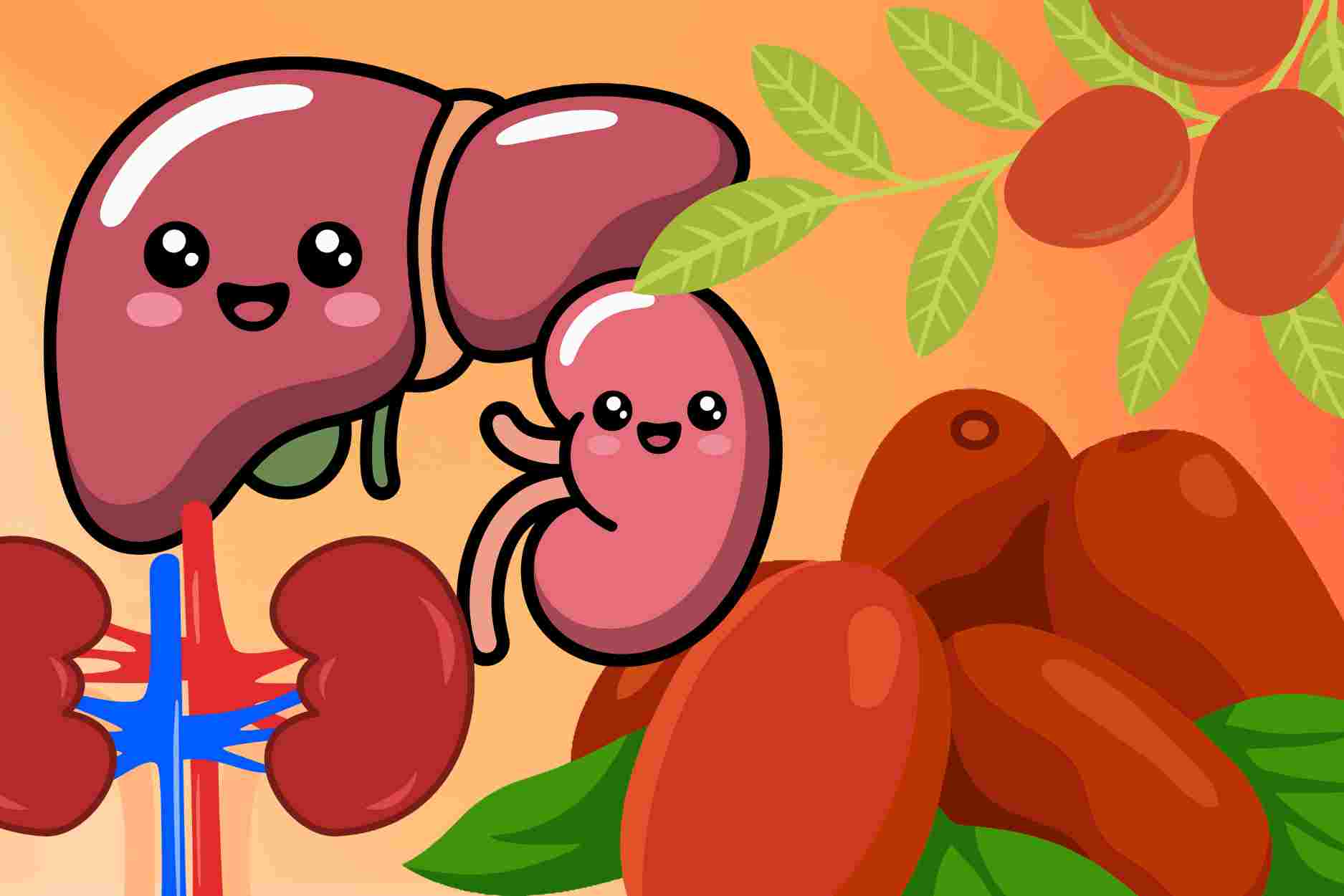 How to use red apples best for liver and kidney benefits