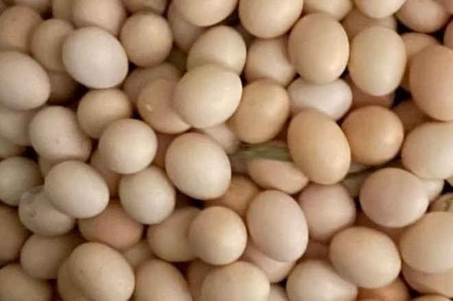 Eggs are a popular source of protein, a familiar food in the kitchen. Photo: Quang Minh