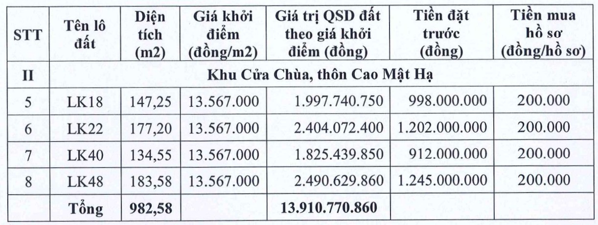 Thông tin phiên đấu giá 8 thửa đất xã Bình Minh. Ảnh: Công ty Đấu giá Hợp danh Đấu giá Việt Nam