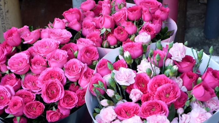 Hoa hồng Sofia được xem là lựa chọn lãng mạn dịp 8.3. Ảnh: Huyền Trang