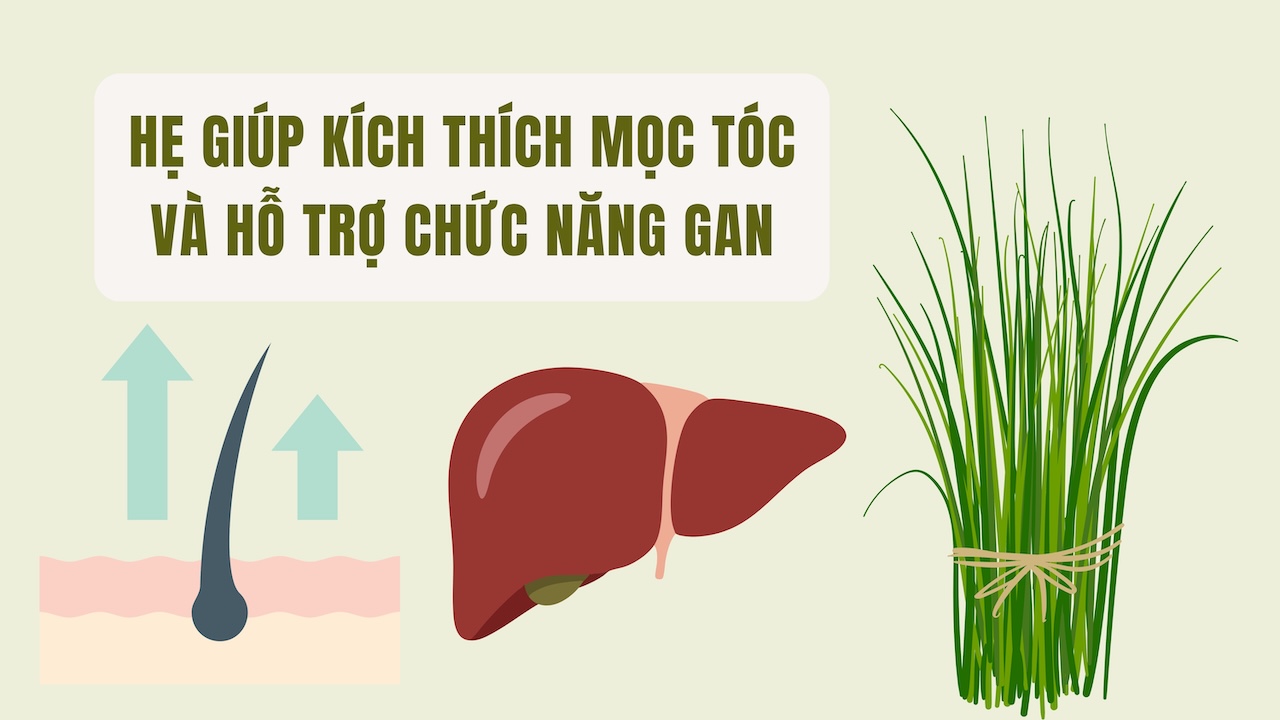 Tell you about vegetables that help stimulate hair growth and support liver function