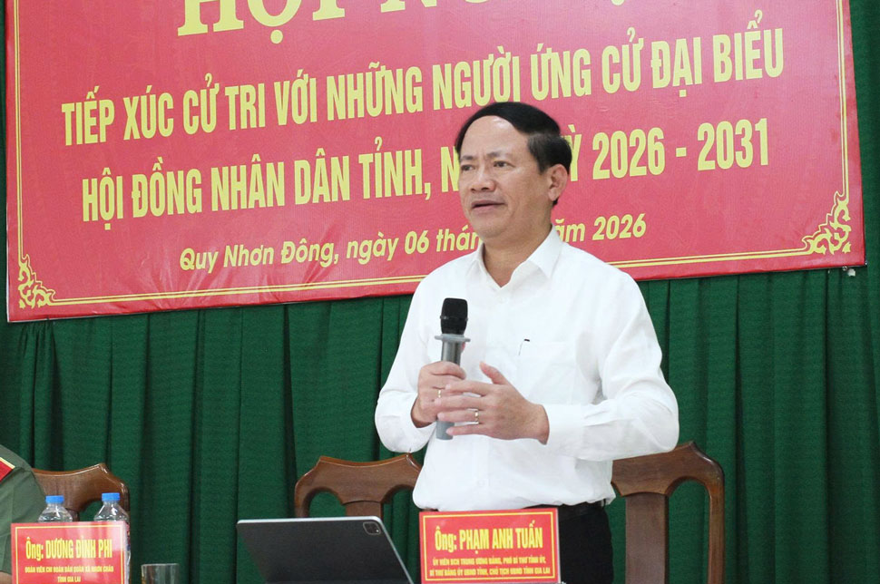 Chủ tịch UBND tỉnh Gia Lai Phạm Anh Tuấn phát biểu trước cử tri. Ảnh: Hoài Phương