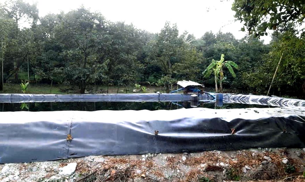 Trữ nước tưới là giải pháp then chốt đối với cây trồng. Ảnh: Tư liệu Nguyễn Phước Tuyên