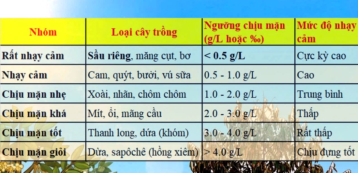 Biểu bảng hiển thị khả năng nhạy cảm của cây ăn trái với mặn. Ảnh: Tư liệu Nguyễn Phước Tuyên 