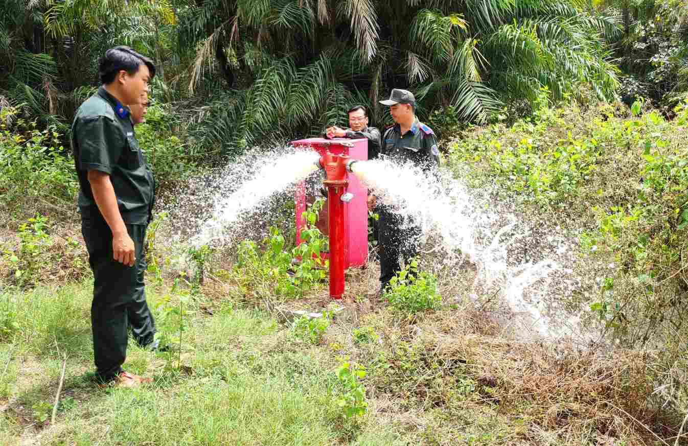 Kiểm tra hệ thống phòng chống cháy rừng mùa khô năm 2026 tại Cà Mau. Ảnh: Nhật Hồ.