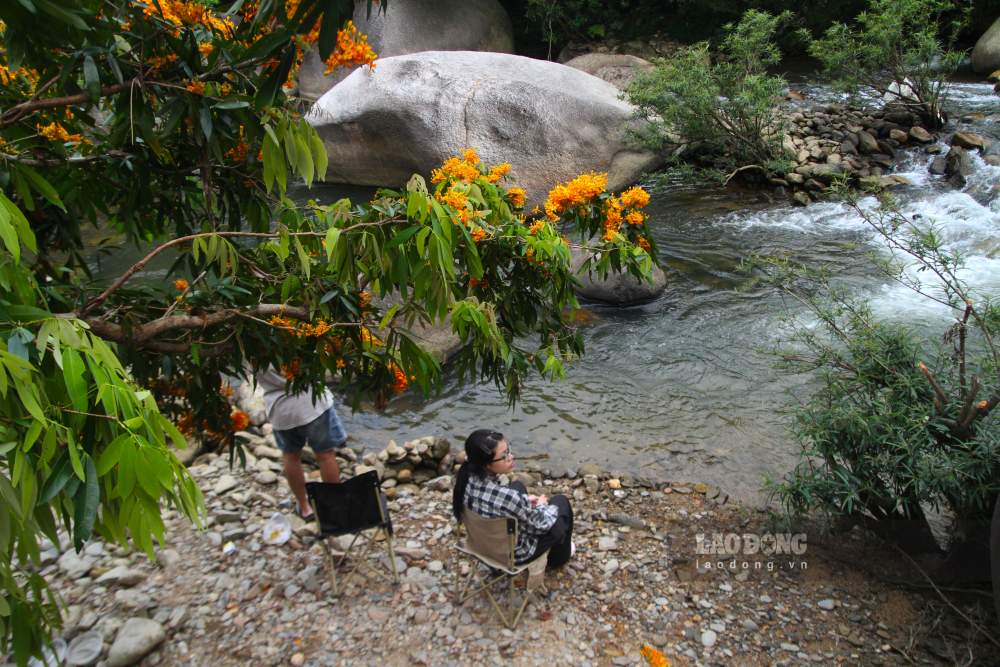 Nhiều bạn trẻ tìm đến ngắm cảnh, thư giãn dưới những tán hoa trang rừng, bên dòng suối. Ảnh: Thanh Huyền