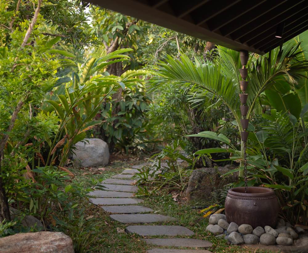 Không gian sân vườn xanh ngát