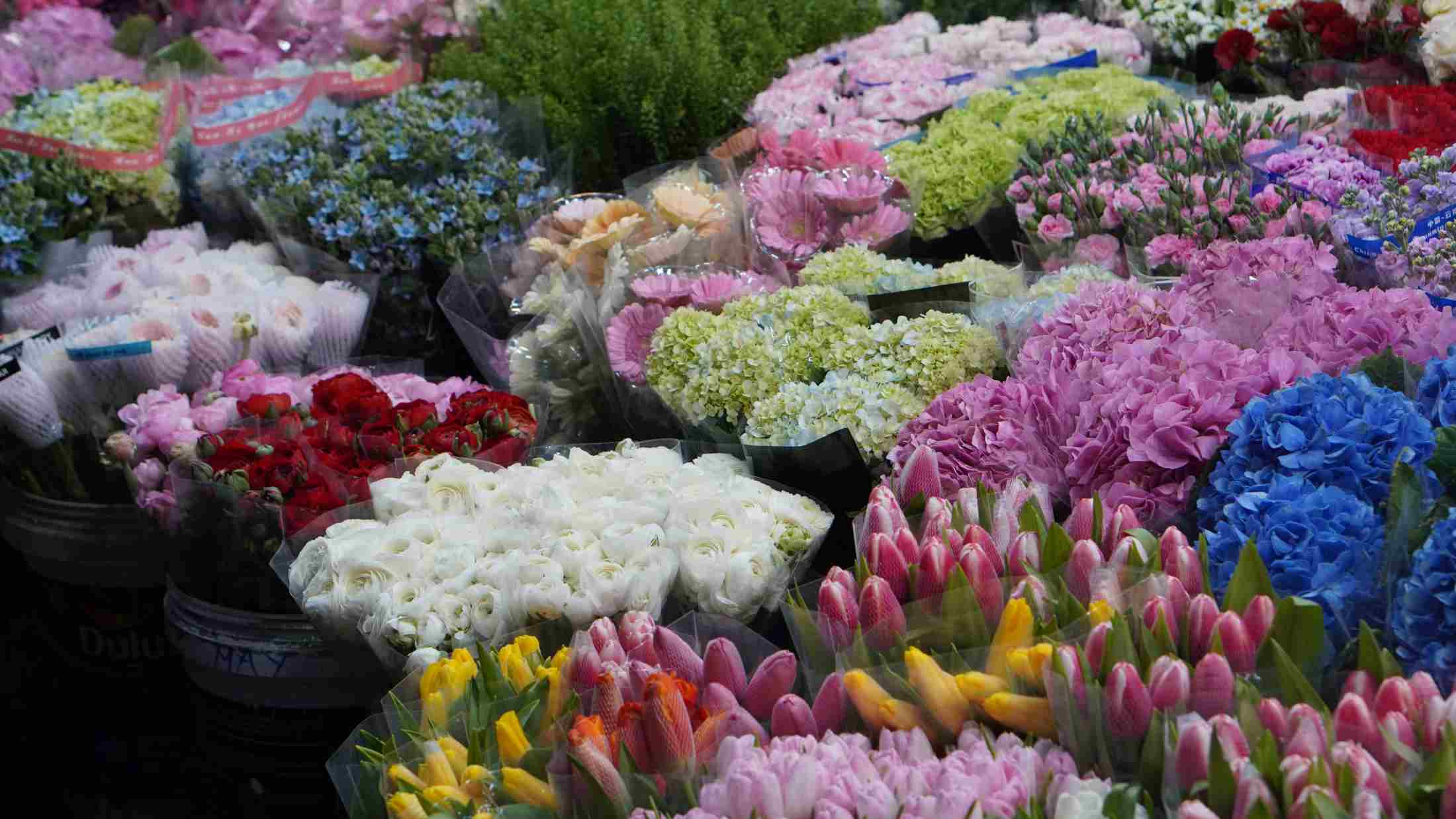 Những bó tulip nhiều màu sắc mang đến thông điệp về hạnh phúc và niềm vui trong ngày 8/3. Ảnh: Minh Vũ