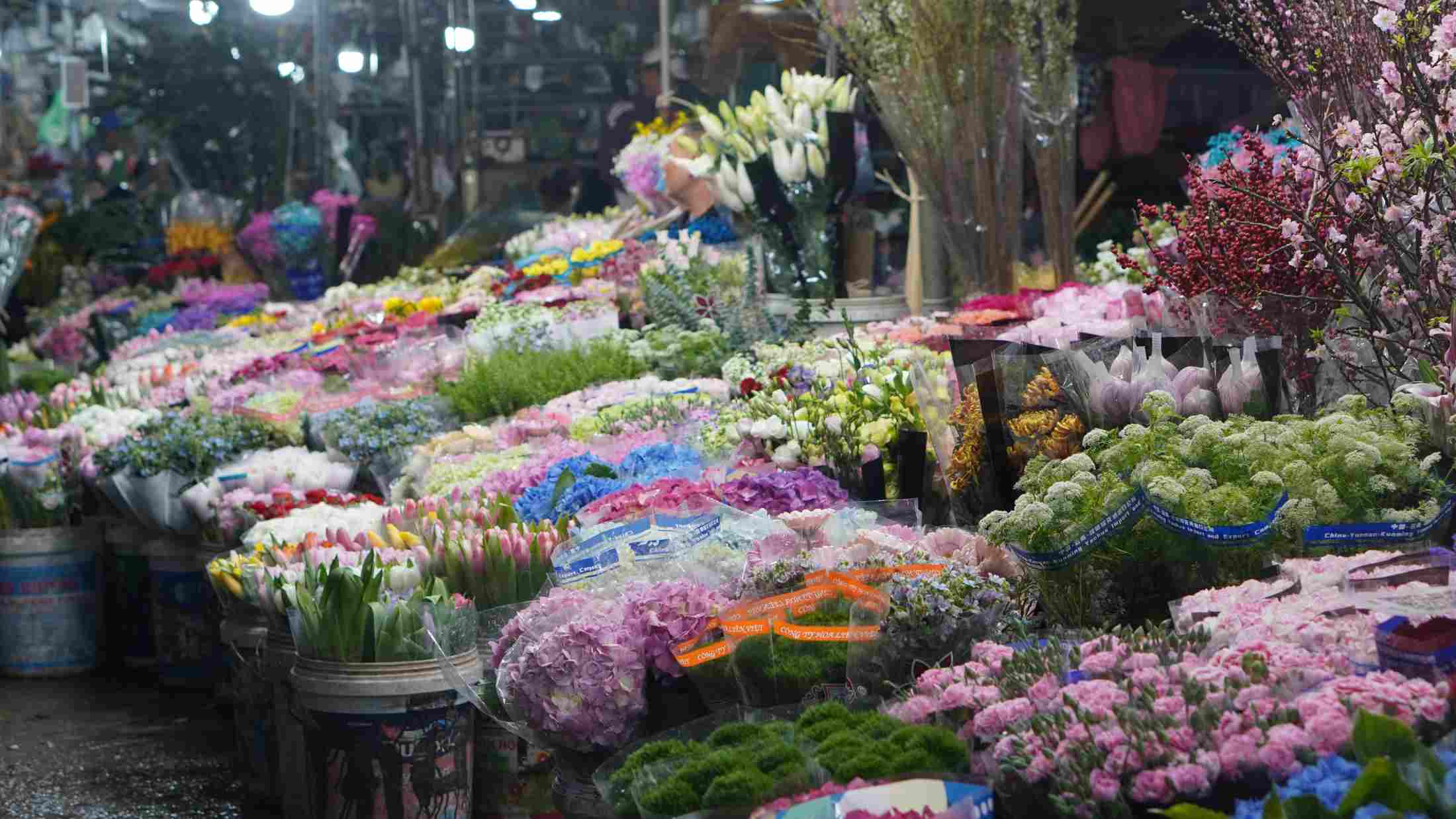 Những bó hoa rực rỡ tạo nên không khí tươi vui trong các gian hàng hoa dịp 8/3. Ảnh: Minh Vũ 