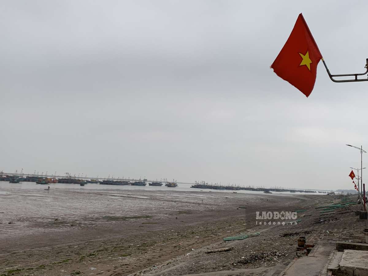 Cờ Tổ quốc tung bay tại bến cá Giao Hải, xã Giao Phúc. Ảnh: Lương Hà