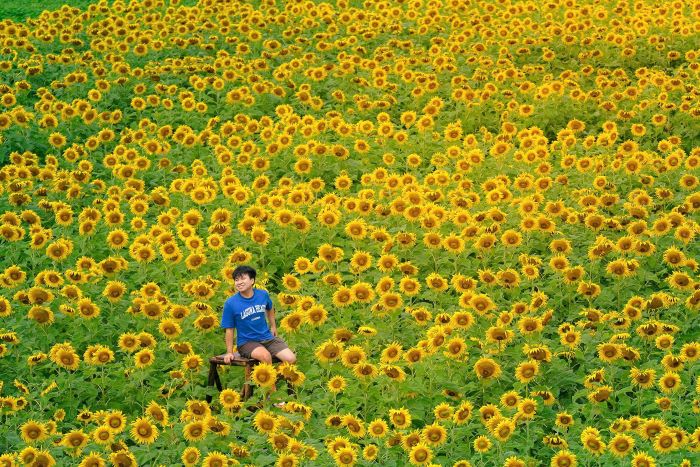 Anh Võ Duy Hòa, người dân phường Hải Châu, tranh thủ dịp cuối tuần di chuyển đến xã Vu Gia để ghi lại những bức ảnh đẹp bên cánh đồng hoa hướng dương đang nở rộ. Ảnh: Trần Thi