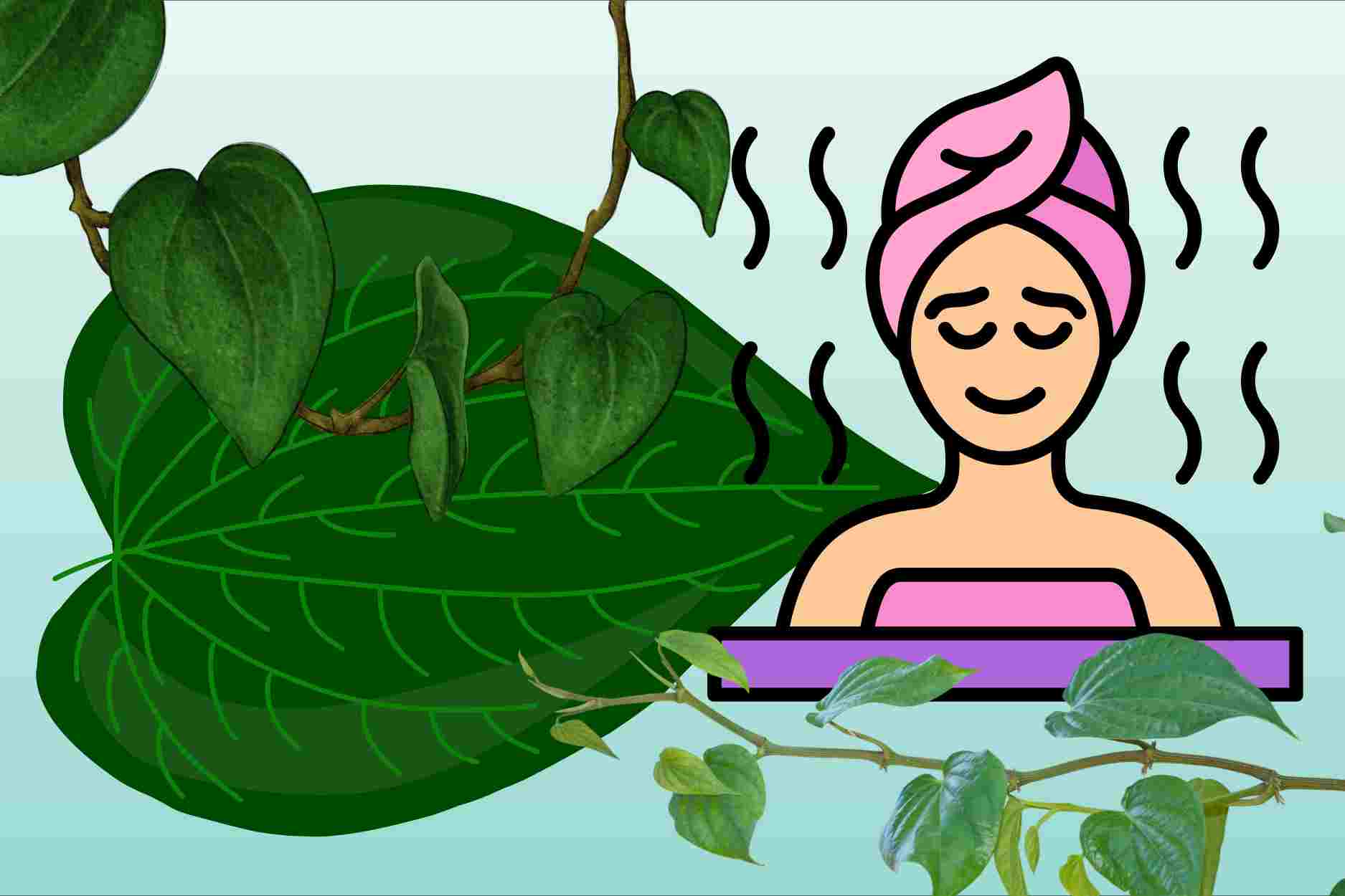 How to steam betel leaves to help reduce nasal congestion and sinusitis symptoms
