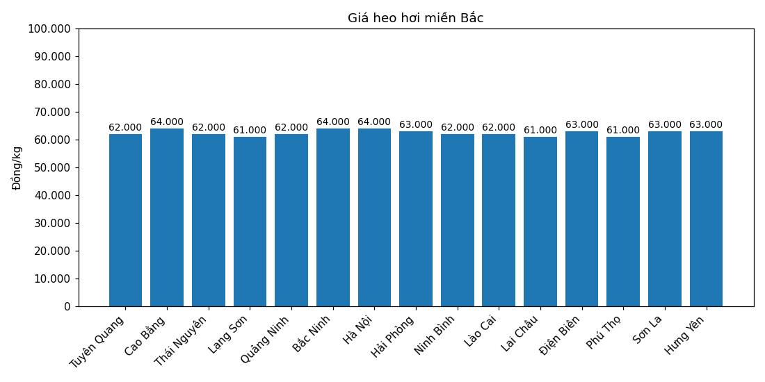 Giá heo hơi hôm nay 7.3 tại khu vực miền Bắc. Đồ họa: Thùy Linh