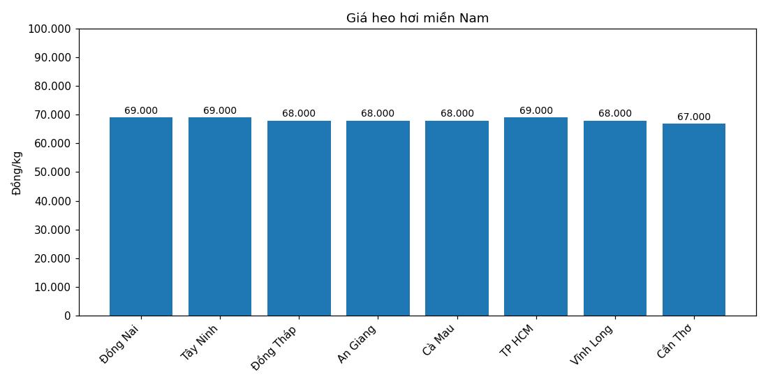 Giá heo hơi hôm nay 7.3 tại khu vực miền Nam. Đồ họa: Thùy Linh
