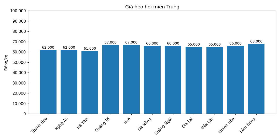 Giá heo hơi hôm nay 7.3 tại khu vực miền Trung. Đồ họa: Thùy Linh