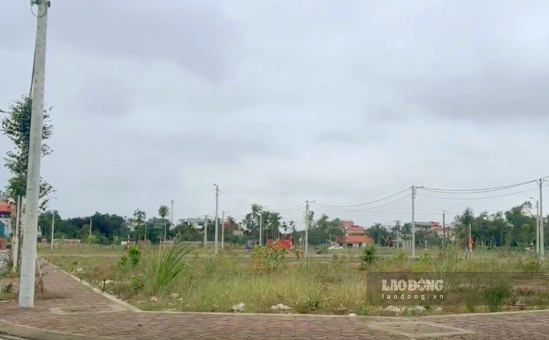 Đấu giá đất ở là lĩnh vực được người quan tâm. Ảnh: Hữu Chánh