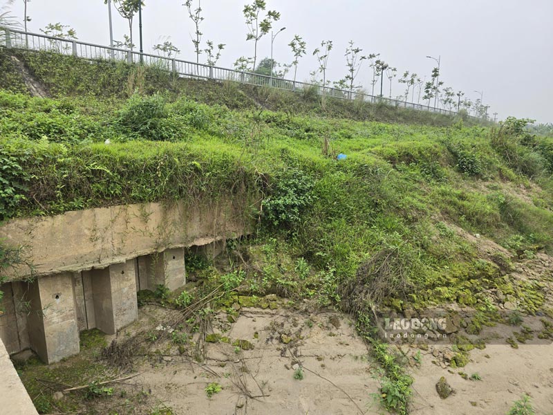 Sau 2 đợt lũ lớn phần lớn các đoạn bờ kè dọc sông Hồng được xây dựng trước đây đã bị vùi lấp. Ảnh: Tân Văn