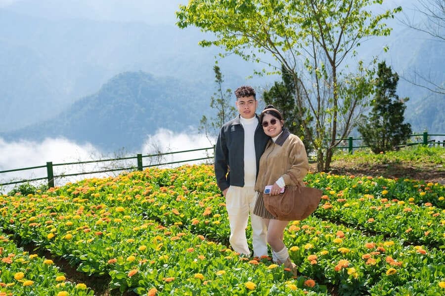 Sắc cam của hoa Susi bừng sáng giữa trời xanh mây trắng, tất cả tạo thành bức tranh rực rỡ. Ảnh: Thanh Sơn 