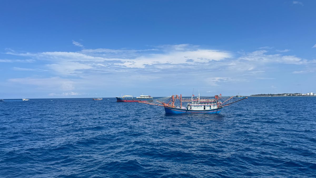 Các tàu cá đang khai thác xa bờ cũng tranh thủ về để thực hiện quyền bầu cử của công dân. Ảnh: Duy Tuấn 