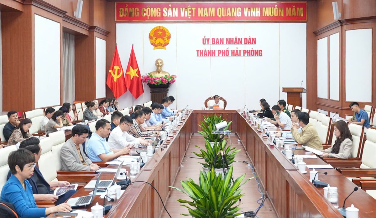 Hai Phong expects the theme of the Red Flamboyant Flower Festival 2026 to be "Hai Phong - Red Sparks, Aspiration to reach far". Photo: Hai Phong e-Portal