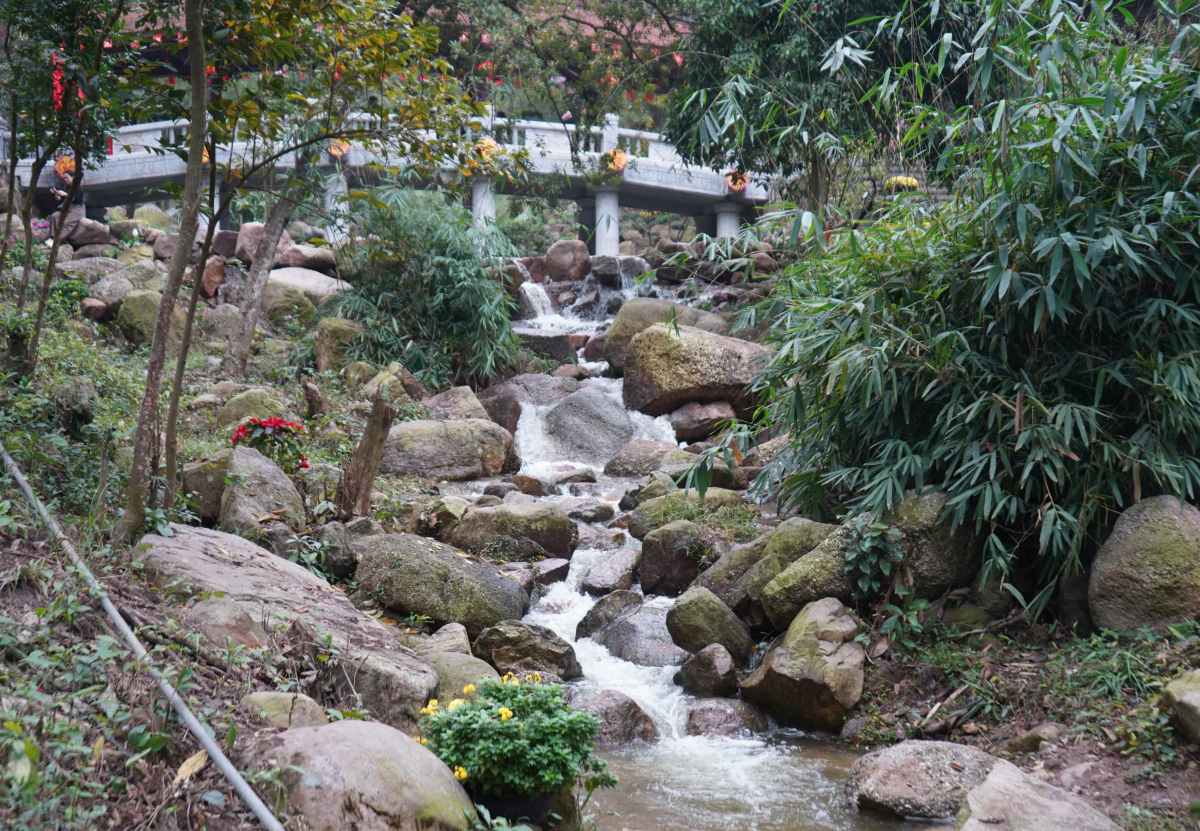 Con Son stream is restored to green and cool, water flows year-round. Photo: Mai Dung