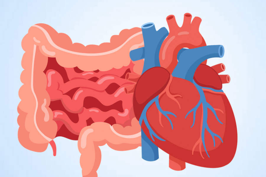 Foods that seem good for health can silently harm the heart and intestines. Graphics: Thien Nhan