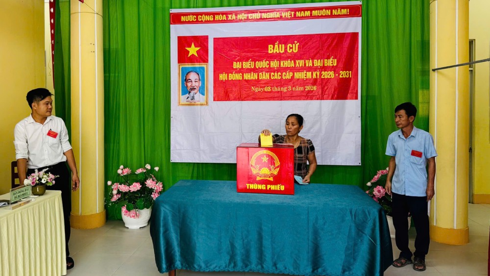 Voters in the Tho Chau special zone participate in early elections on the morning of 8. 3. Photo: Nam Phuong