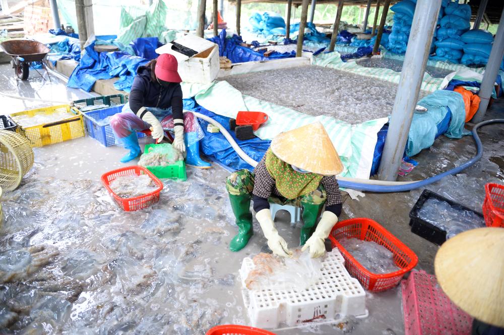 Các chị, các mẹ tất bật với công việc, tạm quên đi ngày Quốc tế Phụ nữ 8-3. Ảnh: Quách Du