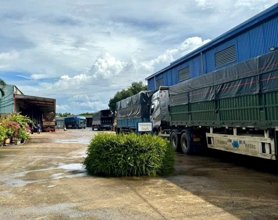 Các doanh nghiệp logistic trên địa bàn đang gặp nhiều khó khăn do giá xăng dầu tăng. Ảnh: Bảo Trung