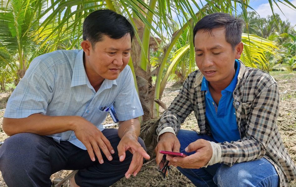 Nông dân sử dụng điện thoại thông minh để tra cứu kỹ thuật canh tác và nhận diện sâu bệnh trên lúa. Ảnh: Phương Anh