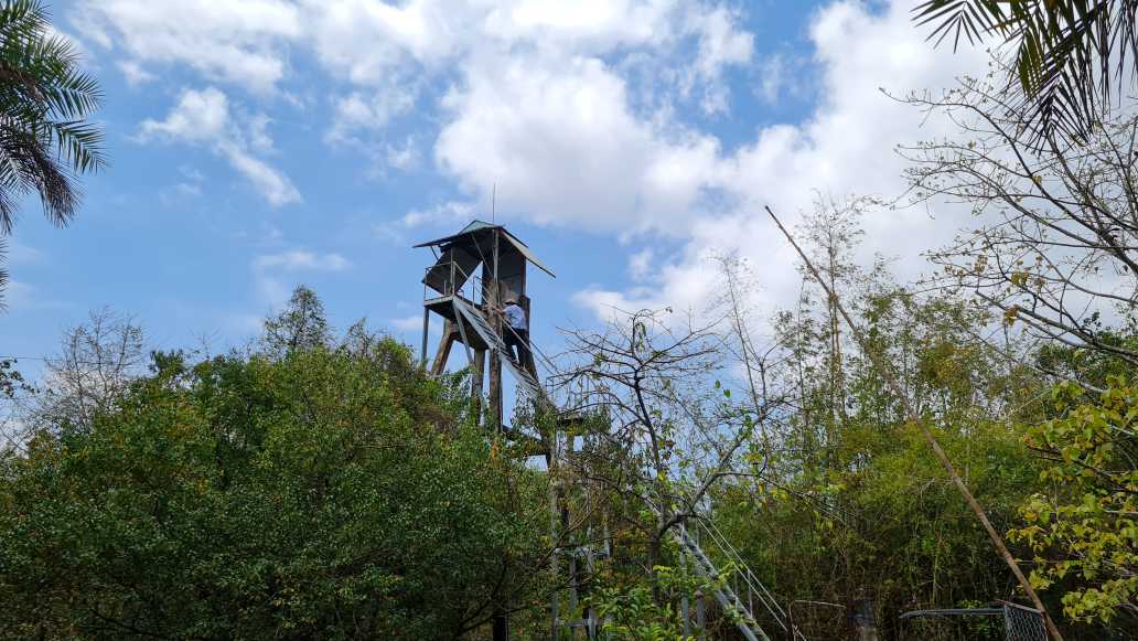 Đài quan sát tại Vườn chim Bạc Liêu. Ảnh: Nhật Hồ.