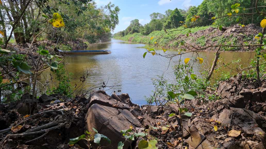 Vườn chim Bạc Liêu có hệ sinh thái ngập mặn với nhiều loài phong phú. Ảnh: Nhật Hồ.