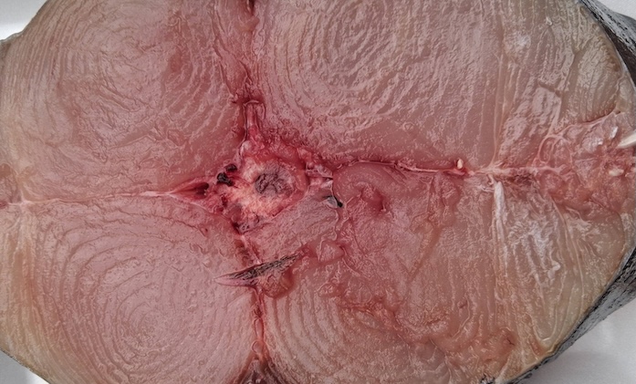 Mackerel is one of the foods housewives should choose when someone in the family has joint pain. Photo: Kieu Vu