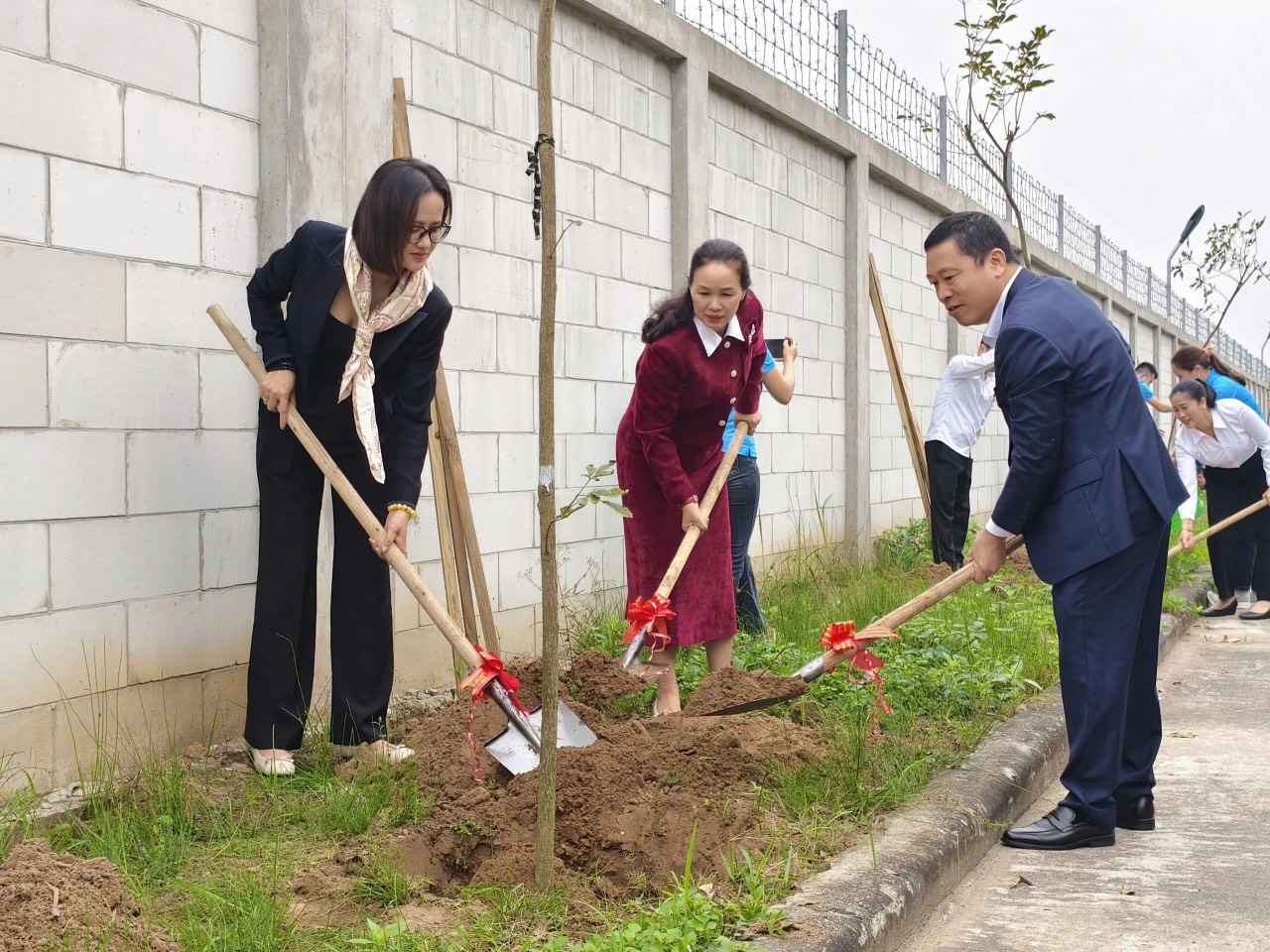 Management officials, Trade Union and Youth Union of Veston Hung Ha Enterprise participate in planting yellow maple trees. Photo: May 10 Corporation - JSC