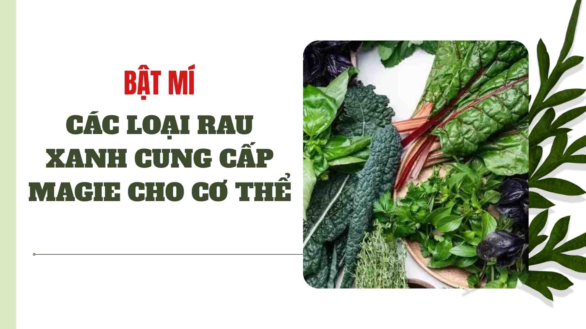 Revealing green vegetables that provide magnesium for the body