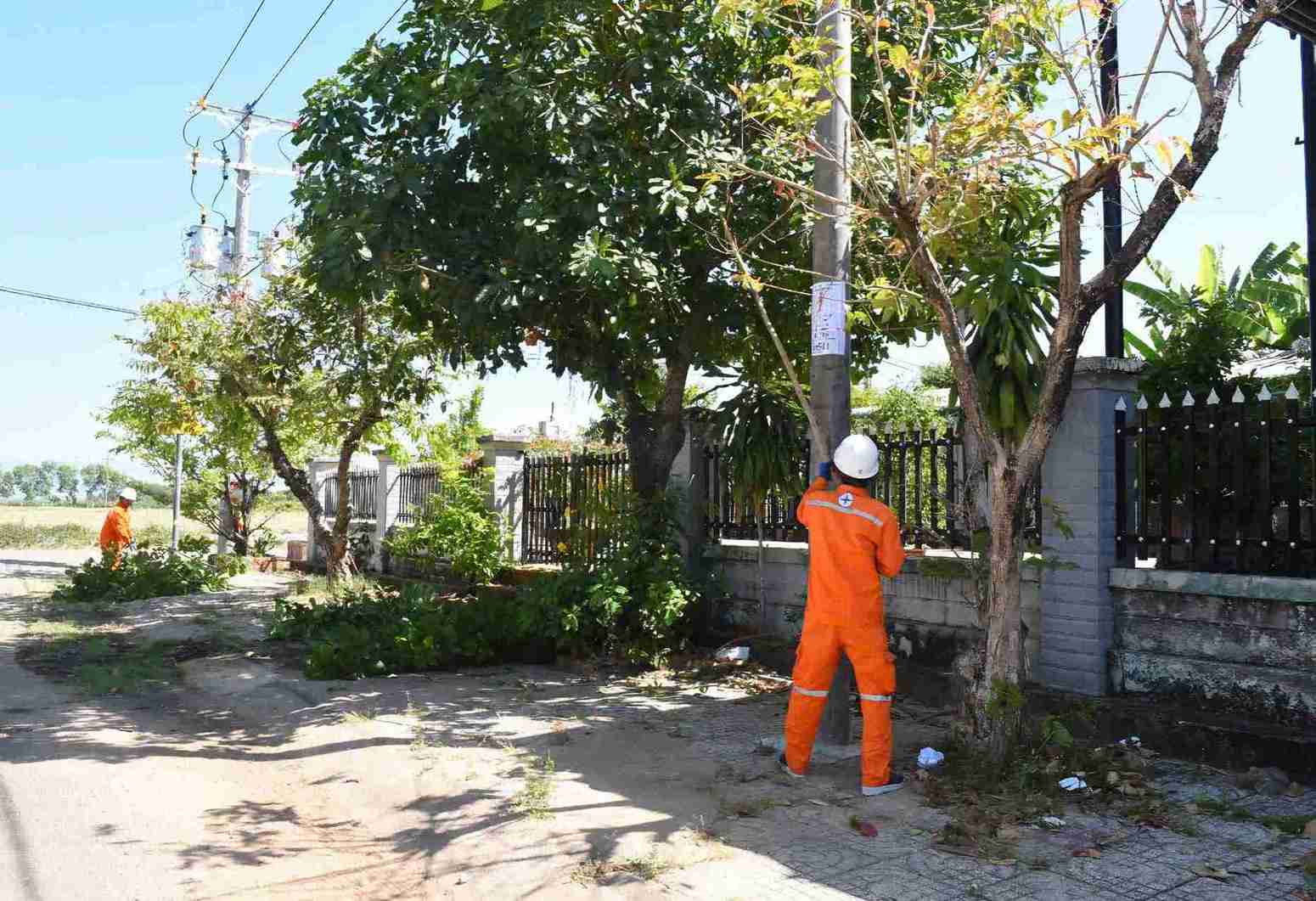 Các đơn vị trực thuộc Điện lực phát dọn cây tại các điểm bầu cử bảo đảm an toàn lưới điện. Ảnh: Diệp Quỳnh 