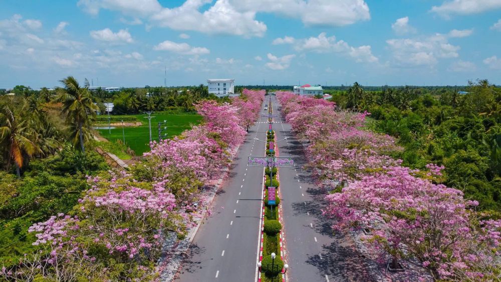 Năm 2025, Sở Văn hóa, Thể thao và Du lịch tỉnh Sóc Trăng phối hợp với UBND huyện Châu Thành tổ chức khai mạc Tuần lễ hoa kèn hồng lần thứ I nhằm quảng bá hình ảnh hoa kèn hồng gắn với tiềm năng du lịch địa phương, thu hút du khách và nguồn lực đầu tư, góp phần thúc đẩy du lịch phát triển, đưa du lịch trở thành ngành kinh tế quan trọng của Sóc Trăng.