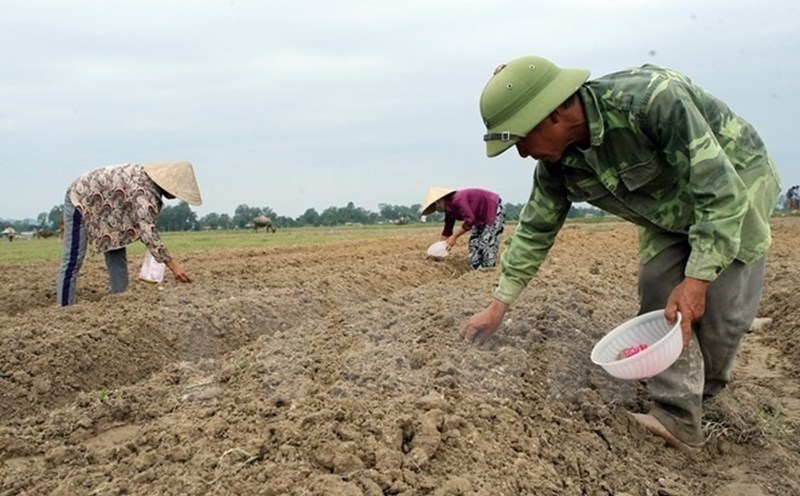 In 2026, how long will it be fined for not using land for annual crops?
