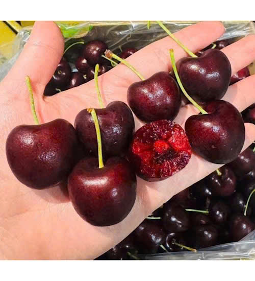 Cherries are one of the fruits with the potential to support reducing uric acid and increasing kidney excretion. Photo: Nguyen Thanh.