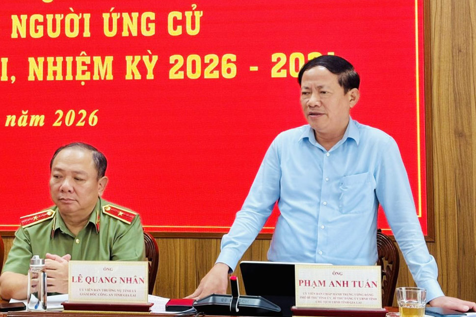 Chủ tịch UBND tỉnh Gia Lai Phạm Anh Tuấn phát biểu trước cử tri. Ảnh: Ngọc Minh