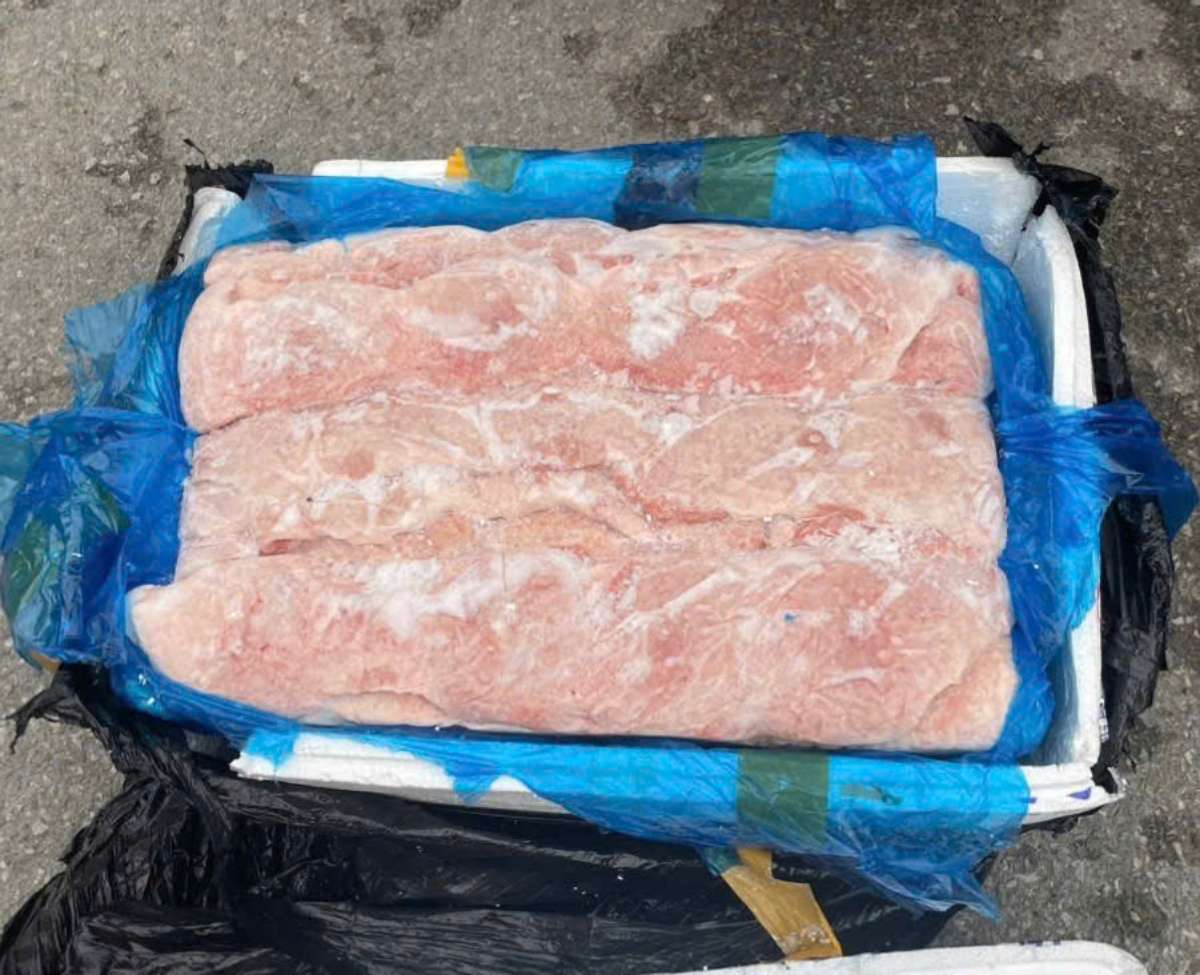 Exhibits of pig nipples showing signs of color change and spoilage. Photo: Hung Yen Provincial Market Management Department