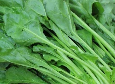 Juices from green leafy vegetables, including spinach, are a good source of collagen. Photo: Kieu Vu