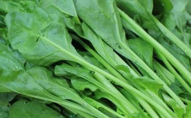 5 Types De L gumes Verts Feuilles Anti inflammatoires Faciles 5-types-de-l-gumes-verts-feuilles-anti-inflammatoires-faciles