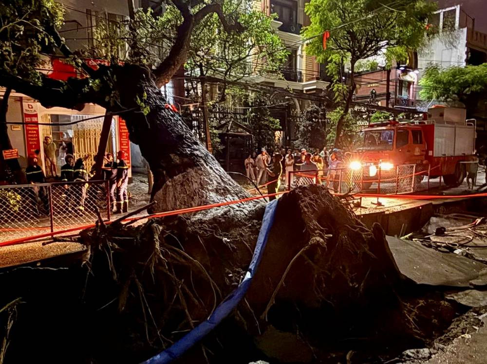 Green trees suddenly collapsed with power outages in the middle of the night in Da Nang. Photo: Thanh Huyen