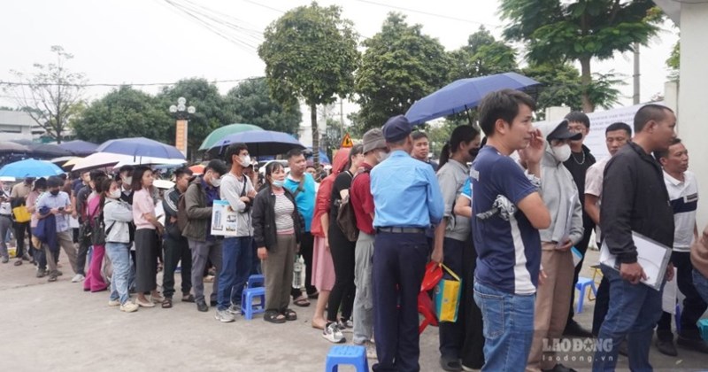 Siết chuyển nhượng nhà ở xã hội: Cần cơ chế xác minh người mua