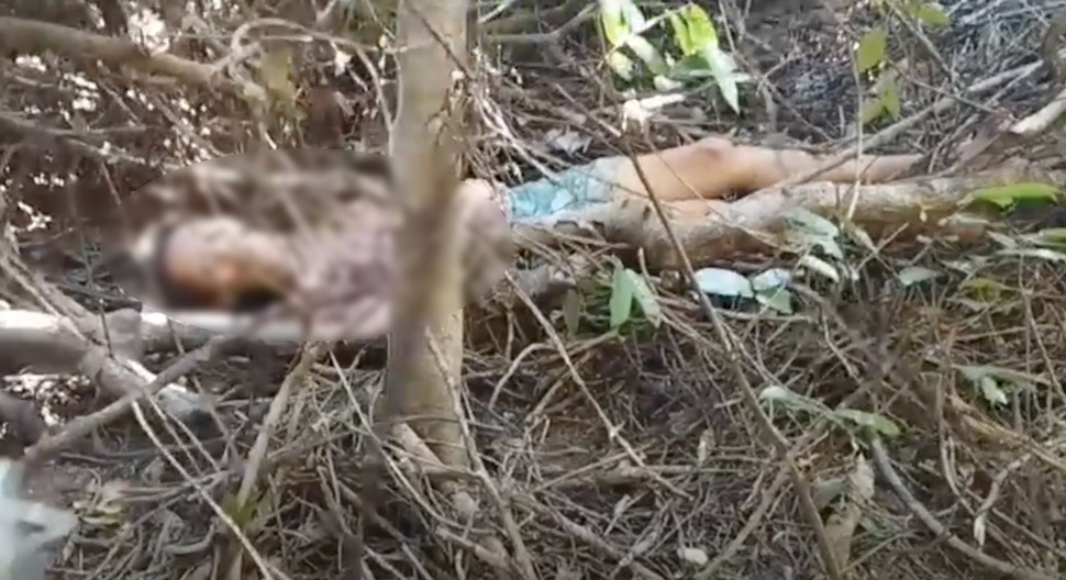 A woman missing for more than 10 days in the deep forest in Gia Lai was successfully rescued. Photo: Police