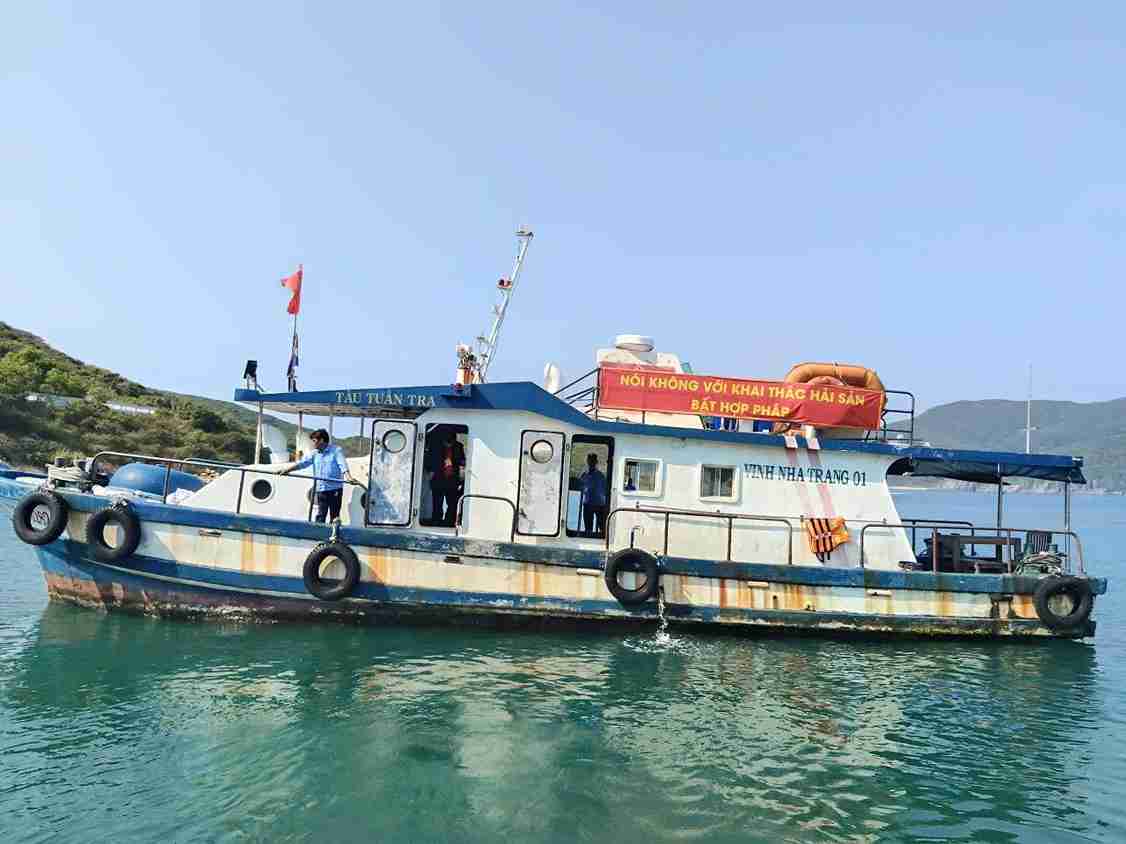 Các cơ quan chức năng đã thả khoảng 4,5 triệu con giống về tự nhiên. Ảnh: BQL Vịnh Nha Trang