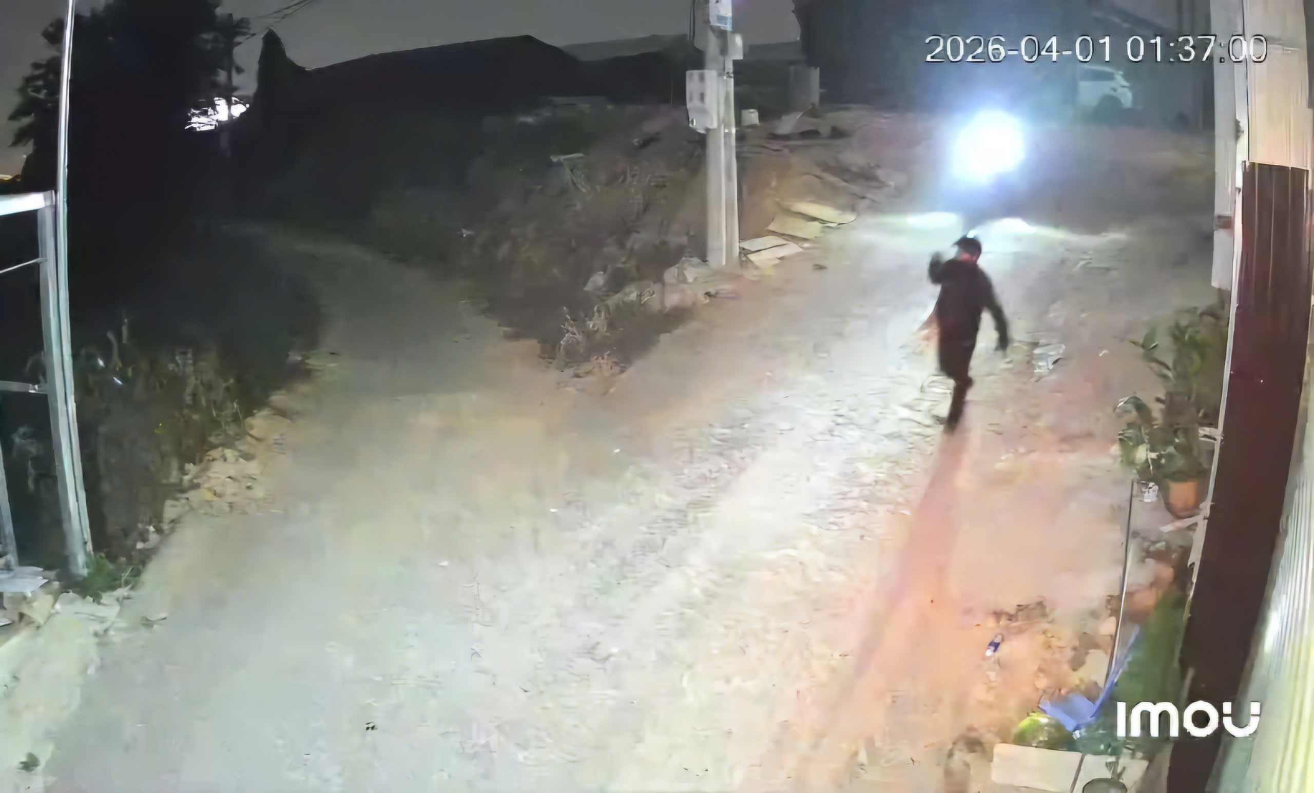 Cẩu tặc vô tư dùng súng điện bắt trộm chó tại phường Lang Biang - Đà Lạt. Ảnh: Cắt từ clip 