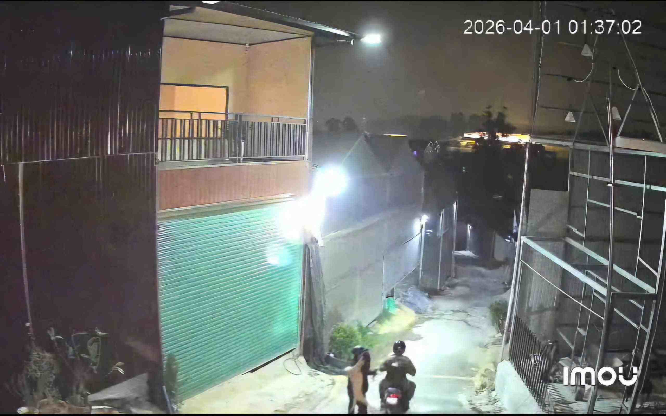 In recent days, dog thieves have continuously rampant in Da Lat. Photo: Cut from clip